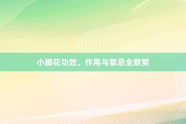 小脚花功效、作用与禁忌全默契
